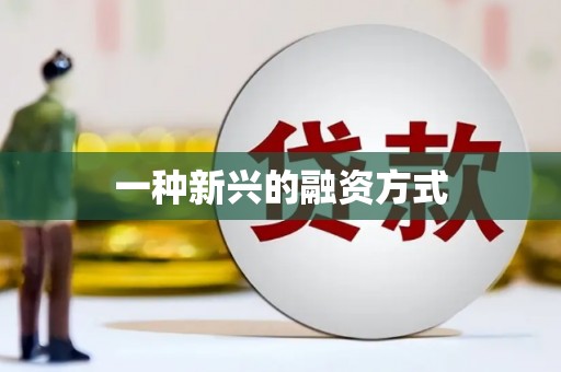 二林一种新兴的融资方式