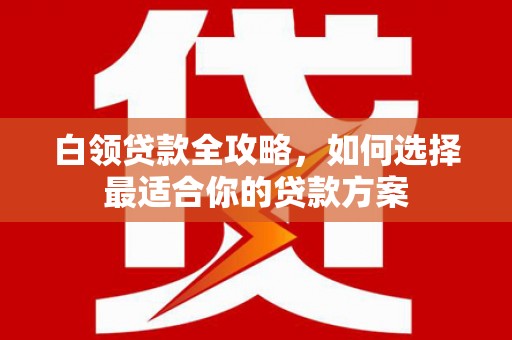 二林白领贷款全攻略，如何选择最适合你的贷款方案