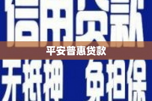 二林平安普惠贷款
