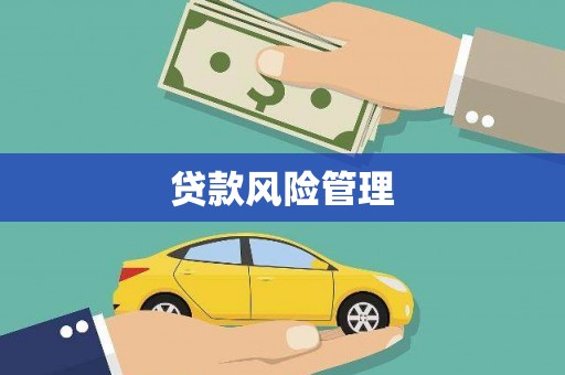 二林贷款风险管理