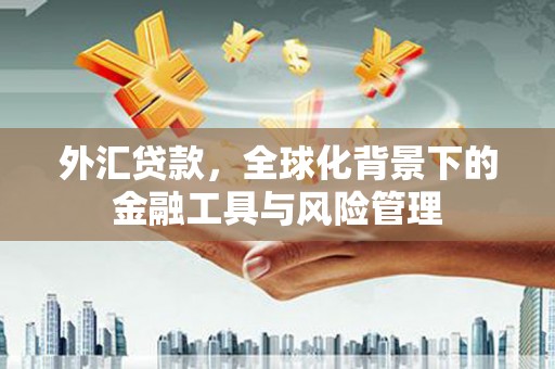 二林外汇贷款，全球化背景下的金融工具与风险管理